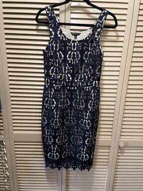 Banana Republic Navy Lace Midi Dress with Ivory Underlay